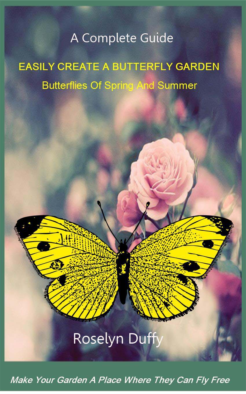 Easily Create A Butterfly Garden